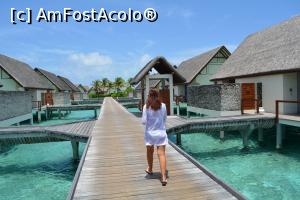 [P179] water bungalows » foto by barbu minel
 - 
<span class="allrVoted glyphicon glyphicon-heart hidden" id="av711670"></span>
<a class="m-l-10 hidden" id="sv711670" onclick="voting_Foto_DelVot(,711670,19932)" role="button">șterge vot <span class="glyphicon glyphicon-remove"></span></a>
<a id="v9711670" class=" c-red"  onclick="voting_Foto_SetVot(711670)" role="button"><span class="glyphicon glyphicon-heart-empty"></span> <b>LIKE</b> = Votează poza</a> <img class="hidden"  id="f711670W9" src="/imagini/loader.gif" border="0" /><span class="AjErrMes hidden" id="e711670ErM"></span>