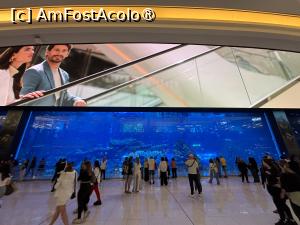 [P01] Dubai Aquarium,așa se vede din Mall » foto by AZE
 - 
<span class="allrVoted glyphicon glyphicon-heart hidden" id="av1483332"></span>
<a class="m-l-10 hidden" id="sv1483332" onclick="voting_Foto_DelVot(,1483332,19983)" role="button">șterge vot <span class="glyphicon glyphicon-remove"></span></a>
<a id="v91483332" class=" c-red"  onclick="voting_Foto_SetVot(1483332)" role="button"><span class="glyphicon glyphicon-heart-empty"></span> <b>LIKE</b> = Votează poza</a> <img class="hidden"  id="f1483332W9" src="/imagini/loader.gif" border="0" /><span class="AjErrMes hidden" id="e1483332ErM"></span>