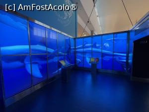 [P12] Dubai Undewater Zoo » foto by AZE
 - 
<span class="allrVoted glyphicon glyphicon-heart hidden" id="av1483343"></span>
<a class="m-l-10 hidden" id="sv1483343" onclick="voting_Foto_DelVot(,1483343,19983)" role="button">șterge vot <span class="glyphicon glyphicon-remove"></span></a>
<a id="v91483343" class=" c-red"  onclick="voting_Foto_SetVot(1483343)" role="button"><span class="glyphicon glyphicon-heart-empty"></span> <b>LIKE</b> = Votează poza</a> <img class="hidden"  id="f1483343W9" src="/imagini/loader.gif" border="0" /><span class="AjErrMes hidden" id="e1483343ErM"></span>