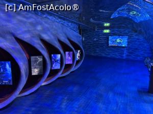 [P14] Dubai Undewater Zoo,ecrane interactive » foto by AZE
 - 
<span class="allrVoted glyphicon glyphicon-heart hidden" id="av1483345"></span>
<a class="m-l-10 hidden" id="sv1483345" onclick="voting_Foto_DelVot(,1483345,19983)" role="button">șterge vot <span class="glyphicon glyphicon-remove"></span></a>
<a id="v91483345" class=" c-red"  onclick="voting_Foto_SetVot(1483345)" role="button"><span class="glyphicon glyphicon-heart-empty"></span> <b>LIKE</b> = Votează poza</a> <img class="hidden"  id="f1483345W9" src="/imagini/loader.gif" border="0" /><span class="AjErrMes hidden" id="e1483345ErM"></span>