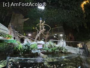 [P16] Dubai Undewater Zoo,o junglă mică » foto by AZE
 - 
<span class="allrVoted glyphicon glyphicon-heart hidden" id="av1483347"></span>
<a class="m-l-10 hidden" id="sv1483347" onclick="voting_Foto_DelVot(,1483347,19983)" role="button">șterge vot <span class="glyphicon glyphicon-remove"></span></a>
<a id="v91483347" class=" c-red"  onclick="voting_Foto_SetVot(1483347)" role="button"><span class="glyphicon glyphicon-heart-empty"></span> <b>LIKE</b> = Votează poza</a> <img class="hidden"  id="f1483347W9" src="/imagini/loader.gif" border="0" /><span class="AjErrMes hidden" id="e1483347ErM"></span>