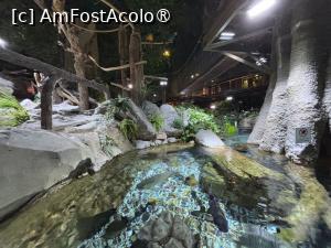 [P21] Dubai Undewater Zoo » foto by AZE
 - 
<span class="allrVoted glyphicon glyphicon-heart hidden" id="av1483352"></span>
<a class="m-l-10 hidden" id="sv1483352" onclick="voting_Foto_DelVot(,1483352,19983)" role="button">șterge vot <span class="glyphicon glyphicon-remove"></span></a>
<a id="v91483352" class=" c-red"  onclick="voting_Foto_SetVot(1483352)" role="button"><span class="glyphicon glyphicon-heart-empty"></span> <b>LIKE</b> = Votează poza</a> <img class="hidden"  id="f1483352W9" src="/imagini/loader.gif" border="0" /><span class="AjErrMes hidden" id="e1483352ErM"></span>