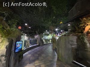 [P26] Dubai Undewater Zoo » foto by AZE
 - 
<span class="allrVoted glyphicon glyphicon-heart hidden" id="av1483357"></span>
<a class="m-l-10 hidden" id="sv1483357" onclick="voting_Foto_DelVot(,1483357,19983)" role="button">șterge vot <span class="glyphicon glyphicon-remove"></span></a>
<a id="v91483357" class=" c-red"  onclick="voting_Foto_SetVot(1483357)" role="button"><span class="glyphicon glyphicon-heart-empty"></span> <b>LIKE</b> = Votează poza</a> <img class="hidden"  id="f1483357W9" src="/imagini/loader.gif" border="0" /><span class="AjErrMes hidden" id="e1483357ErM"></span>