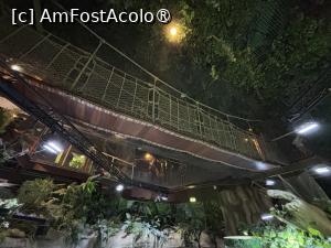 [P27] Dubai Undewater Zoo,traaeu de aventuri pentru copii » foto by AZE
 - 
<span class="allrVoted glyphicon glyphicon-heart hidden" id="av1483358"></span>
<a class="m-l-10 hidden" id="sv1483358" onclick="voting_Foto_DelVot(,1483358,19983)" role="button">șterge vot <span class="glyphicon glyphicon-remove"></span></a>
<a id="v91483358" class=" c-red"  onclick="voting_Foto_SetVot(1483358)" role="button"><span class="glyphicon glyphicon-heart-empty"></span> <b>LIKE</b> = Votează poza</a> <img class="hidden"  id="f1483358W9" src="/imagini/loader.gif" border="0" /><span class="AjErrMes hidden" id="e1483358ErM"></span>