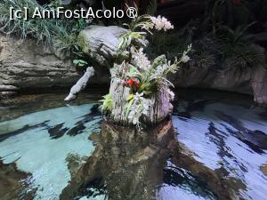 [P29] Dubai Undewater Zoo » foto by AZE
 - 
<span class="allrVoted glyphicon glyphicon-heart hidden" id="av1483360"></span>
<a class="m-l-10 hidden" id="sv1483360" onclick="voting_Foto_DelVot(,1483360,19983)" role="button">șterge vot <span class="glyphicon glyphicon-remove"></span></a>
<a id="v91483360" class=" c-red"  onclick="voting_Foto_SetVot(1483360)" role="button"><span class="glyphicon glyphicon-heart-empty"></span> <b>LIKE</b> = Votează poza</a> <img class="hidden"  id="f1483360W9" src="/imagini/loader.gif" border="0" /><span class="AjErrMes hidden" id="e1483360ErM"></span>