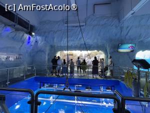 [P33] Dubai Undewater Zoo » foto by AZE
 - 
<span class="allrVoted glyphicon glyphicon-heart hidden" id="av1483364"></span>
<a class="m-l-10 hidden" id="sv1483364" onclick="voting_Foto_DelVot(,1483364,19983)" role="button">șterge vot <span class="glyphicon glyphicon-remove"></span></a>
<a id="v91483364" class=" c-red"  onclick="voting_Foto_SetVot(1483364)" role="button"><span class="glyphicon glyphicon-heart-empty"></span> <b>LIKE</b> = Votează poza</a> <img class="hidden"  id="f1483364W9" src="/imagini/loader.gif" border="0" /><span class="AjErrMes hidden" id="e1483364ErM"></span>