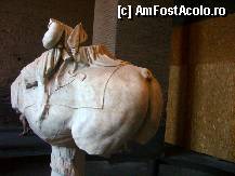 [P46] Piaţa Colosseum-ului: Amfiteatrul lui Flavius, un elefant expus » foto by magdalena
 - 
<span class="allrVoted glyphicon glyphicon-heart hidden" id="av283061"></span>
<a class="m-l-10 hidden" id="sv283061" onclick="voting_Foto_DelVot(,283061,20020)" role="button">șterge vot <span class="glyphicon glyphicon-remove"></span></a>
<a id="v9283061" class=" c-red"  onclick="voting_Foto_SetVot(283061)" role="button"><span class="glyphicon glyphicon-heart-empty"></span> <b>LIKE</b> = Votează poza</a> <img class="hidden"  id="f283061W9" src="/imagini/loader.gif" border="0" /><span class="AjErrMes hidden" id="e283061ErM"></span>