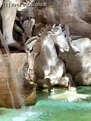 [P04] Un minunat cal din Fântâna celor 4 Fluvii » foto by BristenaBrad
 - 
<span class="allrVoted glyphicon glyphicon-heart hidden" id="av1505570"></span>
<a class="m-l-10 hidden" id="sv1505570" onclick="voting_Foto_DelVot(,1505570,20021)" role="button">șterge vot <span class="glyphicon glyphicon-remove"></span></a>
<a id="v91505570" class=" c-red"  onclick="voting_Foto_SetVot(1505570)" role="button"><span class="glyphicon glyphicon-heart-empty"></span> <b>LIKE</b> = Votează poza</a> <img class="hidden"  id="f1505570W9" src="/imagini/loader.gif" border="0" /><span class="AjErrMes hidden" id="e1505570ErM"></span>