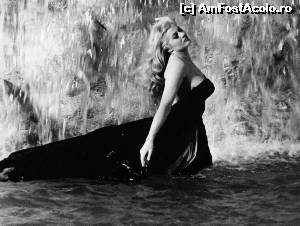 [P01] Anita Ekberg în 'La Dolce Vitta' » foto by Carmen Ion
 - 
<span class="allrVoted glyphicon glyphicon-heart hidden" id="av592020"></span>
<a class="m-l-10 hidden" id="sv592020" onclick="voting_Foto_DelVot(,592020,20021)" role="button">șterge vot <span class="glyphicon glyphicon-remove"></span></a>
<a id="v9592020" class=" c-red"  onclick="voting_Foto_SetVot(592020)" role="button"><span class="glyphicon glyphicon-heart-empty"></span> <b>LIKE</b> = Votează poza</a> <img class="hidden"  id="f592020W9" src="/imagini/loader.gif" border="0" /><span class="AjErrMes hidden" id="e592020ErM"></span>