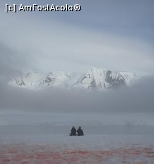 P05 [MAR-2016] Cuplu in Antarctica