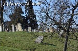 [P16] Cimitirul evreiesc - pietrele funerare care par să se scufunde...  » foto by ariciu
 - 
<span class="allrVoted glyphicon glyphicon-heart hidden" id="av724112"></span>
<a class="m-l-10 hidden" id="sv724112" onclick="voting_Foto_DelVot(,724112,20091)" role="button">șterge vot <span class="glyphicon glyphicon-remove"></span></a>
<a id="v9724112" class=" c-red"  onclick="voting_Foto_SetVot(724112)" role="button"><span class="glyphicon glyphicon-heart-empty"></span> <b>LIKE</b> = Votează poza</a> <img class="hidden"  id="f724112W9" src="/imagini/loader.gif" border="0" /><span class="AjErrMes hidden" id="e724112ErM"></span>