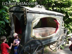 [P36]  -- <small>// FĂRĂ DESCRIERE</small> » foto by Silvia30*
 - 
<span class="allrVoted glyphicon glyphicon-heart hidden" id="av728185"></span>
<a class="m-l-10 hidden" id="sv728185" onclick="voting_Foto_DelVot(,728185,20144)" role="button">șterge vot <span class="glyphicon glyphicon-remove"></span></a>
<a id="v9728185" class=" c-red"  onclick="voting_Foto_SetVot(728185)" role="button"><span class="glyphicon glyphicon-heart-empty"></span> <b>LIKE</b> = Votează poza</a> <img class="hidden"  id="f728185W9" src="/imagini/loader.gif" border="0" /><span class="AjErrMes hidden" id="e728185ErM"></span>