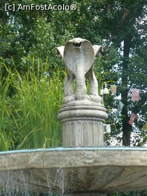 [P37]  -- <small>// FĂRĂ DESCRIERE</small> » foto by Silvia30*
 - 
<span class="allrVoted glyphicon glyphicon-heart hidden" id="av728186"></span>
<a class="m-l-10 hidden" id="sv728186" onclick="voting_Foto_DelVot(,728186,20144)" role="button">șterge vot <span class="glyphicon glyphicon-remove"></span></a>
<a id="v9728186" class=" c-red"  onclick="voting_Foto_SetVot(728186)" role="button"><span class="glyphicon glyphicon-heart-empty"></span> <b>LIKE</b> = Votează poza</a> <img class="hidden"  id="f728186W9" src="/imagini/loader.gif" border="0" /><span class="AjErrMes hidden" id="e728186ErM"></span>