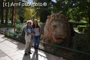 [P03] Ifrane, Leul sculptat de un prizonier in timpul celui de-al doilea razboi mondial » foto by Dorina9
 - 
<span class="allrVoted glyphicon glyphicon-heart hidden" id="av1148247"></span>
<a class="m-l-10 hidden" id="sv1148247" onclick="voting_Foto_DelVot(,1148247,20176)" role="button">șterge vot <span class="glyphicon glyphicon-remove"></span></a>
<a id="v91148247" class=" c-red"  onclick="voting_Foto_SetVot(1148247)" role="button"><span class="glyphicon glyphicon-heart-empty"></span> <b>LIKE</b> = Votează poza</a> <img class="hidden"  id="f1148247W9" src="/imagini/loader.gif" border="0" /><span class="AjErrMes hidden" id="e1148247ErM"></span>