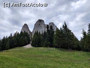 [P07] Drumeție spre Vârful Hășmașul Mare (1792 metri) și Piatra Singuratică (1504 metri) din M-ții Harghitei » foto by Dana2008
 - 
<span class="allrVoted glyphicon glyphicon-heart hidden" id="av1174222"></span>
<a class="m-l-10 hidden" id="sv1174222" onclick="voting_Foto_DelVot(,1174222,20181)" role="button">șterge vot <span class="glyphicon glyphicon-remove"></span></a>
<a id="v91174222" class=" c-red"  onclick="voting_Foto_SetVot(1174222)" role="button"><span class="glyphicon glyphicon-heart-empty"></span> <b>LIKE</b> = Votează poza</a> <img class="hidden"  id="f1174222W9" src="/imagini/loader.gif" border="0" /><span class="AjErrMes hidden" id="e1174222ErM"></span>