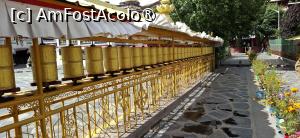 [P44]  -- <small>// FĂRĂ DESCRIERE</small> » foto by iulianic
 - 
<span class="allrVoted glyphicon glyphicon-heart hidden" id="av1499926"></span>
<a class="m-l-10 hidden" id="sv1499926" onclick="voting_Foto_DelVot(,1499926,20352)" role="button">șterge vot <span class="glyphicon glyphicon-remove"></span></a>
<a id="v91499926" class=" c-red"  onclick="voting_Foto_SetVot(1499926)" role="button"><span class="glyphicon glyphicon-heart-empty"></span> <b>LIKE</b> = Votează poza</a> <img class="hidden"  id="f1499926W9" src="/imagini/loader.gif" border="0" /><span class="AjErrMes hidden" id="e1499926ErM"></span>