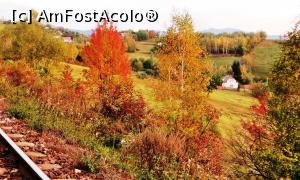[P60] Pastel de toamnă (1) în zona haltei Caracău, satul Livezi » foto by Lucien
 - 
<span class="allrVoted glyphicon glyphicon-heart hidden" id="av746602"></span>
<a class="m-l-10 hidden" id="sv746602" onclick="voting_Foto_DelVot(,746602,20371)" role="button">șterge vot <span class="glyphicon glyphicon-remove"></span></a>
<a id="v9746602" class=" c-red"  onclick="voting_Foto_SetVot(746602)" role="button"><span class="glyphicon glyphicon-heart-empty"></span> <b>LIKE</b> = Votează poza</a> <img class="hidden"  id="f746602W9" src="/imagini/loader.gif" border="0" /><span class="AjErrMes hidden" id="e746602ErM"></span>