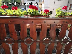 [P18] Apartament - flori pe balcon » foto by crismis
 - 
<span class="allrVoted glyphicon glyphicon-heart hidden" id="av1071815"></span>
<a class="m-l-10 hidden" id="sv1071815" onclick="voting_Foto_DelVot(,1071815,20413)" role="button">șterge vot <span class="glyphicon glyphicon-remove"></span></a>
<a id="v91071815" class=" c-red"  onclick="voting_Foto_SetVot(1071815)" role="button"><span class="glyphicon glyphicon-heart-empty"></span> <b>LIKE</b> = Votează poza</a> <img class="hidden"  id="f1071815W9" src="/imagini/loader.gif" border="0" /><span class="AjErrMes hidden" id="e1071815ErM"></span>