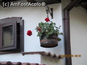 [P06]  -- <small>// FĂRĂ DESCRIERE</small> » foto by elviramvio
 - 
<span class="allrVoted glyphicon glyphicon-heart hidden" id="av750351"></span>
<a class="m-l-10 hidden" id="sv750351" onclick="voting_Foto_DelVot(,750351,20413)" role="button">șterge vot <span class="glyphicon glyphicon-remove"></span></a>
<a id="v9750351" class=" c-red"  onclick="voting_Foto_SetVot(750351)" role="button"><span class="glyphicon glyphicon-heart-empty"></span> <b>LIKE</b> = Votează poza</a> <img class="hidden"  id="f750351W9" src="/imagini/loader.gif" border="0" /><span class="AjErrMes hidden" id="e750351ErM"></span>