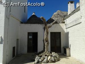 [P20] Intrare la Muzeul Uleiului de Măsline din Alberobello. Nu-l ocoliți chiar dacă pare neînsemnat. » foto by Aurici
 - 
<span class="allrVoted glyphicon glyphicon-heart hidden" id="av742598"></span>
<a class="m-l-10 hidden" id="sv742598" onclick="voting_Foto_DelVot(,742598,20469)" role="button">șterge vot <span class="glyphicon glyphicon-remove"></span></a>
<a id="v9742598" class=" c-red"  onclick="voting_Foto_SetVot(742598)" role="button"><span class="glyphicon glyphicon-heart-empty"></span> <b>LIKE</b> = Votează poza</a> <img class="hidden"  id="f742598W9" src="/imagini/loader.gif" border="0" /><span class="AjErrMes hidden" id="e742598ErM"></span>