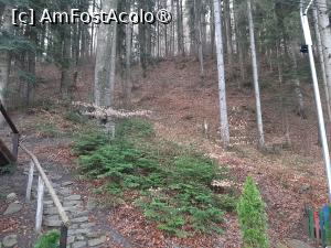 [P07] Cararuia pentru mici drumetii » foto by roxxie
 - 
<span class="allrVoted glyphicon glyphicon-heart hidden" id="av1482233"></span>
<a class="m-l-10 hidden" id="sv1482233" onclick="voting_Foto_DelVot(,1482233,20638)" role="button">șterge vot <span class="glyphicon glyphicon-remove"></span></a>
<a id="v91482233" class=" c-red"  onclick="voting_Foto_SetVot(1482233)" role="button"><span class="glyphicon glyphicon-heart-empty"></span> <b>LIKE</b> = Votează poza</a> <img class="hidden"  id="f1482233W9" src="/imagini/loader.gif" border="0" /><span class="AjErrMes hidden" id="e1482233ErM"></span>