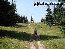 [P18] Partea abruptă a potecii s-a terminat, drumul a ieșit din pădure iar spre capăt se vede, înșelătoare, o culme.  » foto by Utube
 - 
<span class="allrVoted glyphicon glyphicon-heart hidden" id="av406902"></span>
<a class="m-l-10 hidden" id="sv406902" onclick="voting_Foto_DelVot(,406902,20640)" role="button">șterge vot <span class="glyphicon glyphicon-remove"></span></a>
<a id="v9406902" class=" c-red"  onclick="voting_Foto_SetVot(406902)" role="button"><span class="glyphicon glyphicon-heart-empty"></span> <b>LIKE</b> = Votează poza</a> <img class="hidden"  id="f406902W9" src="/imagini/loader.gif" border="0" /><span class="AjErrMes hidden" id="e406902ErM"></span>