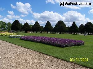 [P10] Palatul Hampton Court / Knot Gardens » foto by Nadina
 - 
<span class="allrVoted glyphicon glyphicon-heart hidden" id="av368889"></span>
<a class="m-l-10 hidden" id="sv368889" onclick="voting_Foto_DelVot(,368889,20910)" role="button">șterge vot <span class="glyphicon glyphicon-remove"></span></a>
<a id="v9368889" class=" c-red"  onclick="voting_Foto_SetVot(368889)" role="button"><span class="glyphicon glyphicon-heart-empty"></span> <b>LIKE</b> = Votează poza</a> <img class="hidden"  id="f368889W9" src="/imagini/loader.gif" border="0" /><span class="AjErrMes hidden" id="e368889ErM"></span>