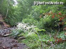 [P34] vale colaterala » foto by dorgo
 - 
<span class="allrVoted glyphicon glyphicon-heart hidden" id="av93742"></span>
<a class="m-l-10 hidden" id="sv93742" onclick="voting_Foto_DelVot(,93742,20973)" role="button">șterge vot <span class="glyphicon glyphicon-remove"></span></a>
<a id="v993742" class=" c-red"  onclick="voting_Foto_SetVot(93742)" role="button"><span class="glyphicon glyphicon-heart-empty"></span> <b>LIKE</b> = Votează poza</a> <img class="hidden"  id="f93742W9" src="/imagini/loader.gif" border="0" /><span class="AjErrMes hidden" id="e93742ErM"></span>