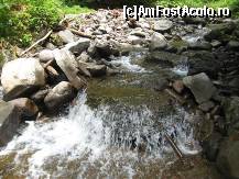 [P38] un afluent al Bistrei » foto by dorgo
 - 
<span class="allrVoted glyphicon glyphicon-heart hidden" id="av93746"></span>
<a class="m-l-10 hidden" id="sv93746" onclick="voting_Foto_DelVot(,93746,20973)" role="button">șterge vot <span class="glyphicon glyphicon-remove"></span></a>
<a id="v993746" class=" c-red"  onclick="voting_Foto_SetVot(93746)" role="button"><span class="glyphicon glyphicon-heart-empty"></span> <b>LIKE</b> = Votează poza</a> <img class="hidden"  id="f93746W9" src="/imagini/loader.gif" border="0" /><span class="AjErrMes hidden" id="e93746ErM"></span>