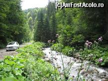 [P40] ciulini » foto by dorgo
 - 
<span class="allrVoted glyphicon glyphicon-heart hidden" id="av93748"></span>
<a class="m-l-10 hidden" id="sv93748" onclick="voting_Foto_DelVot(,93748,20973)" role="button">șterge vot <span class="glyphicon glyphicon-remove"></span></a>
<a id="v993748" class=" c-red"  onclick="voting_Foto_SetVot(93748)" role="button"><span class="glyphicon glyphicon-heart-empty"></span> <b>LIKE</b> = Votează poza</a> <img class="hidden"  id="f93748W9" src="/imagini/loader.gif" border="0" /><span class="AjErrMes hidden" id="e93748ErM"></span>