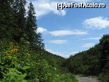 [P44] vara cerul e atat de aproape! » foto by dorgo
 - 
<span class="allrVoted glyphicon glyphicon-heart hidden" id="av93758"></span>
<a class="m-l-10 hidden" id="sv93758" onclick="voting_Foto_DelVot(,93758,20973)" role="button">șterge vot <span class="glyphicon glyphicon-remove"></span></a>
<a id="v993758" class=" c-red"  onclick="voting_Foto_SetVot(93758)" role="button"><span class="glyphicon glyphicon-heart-empty"></span> <b>LIKE</b> = Votează poza</a> <img class="hidden"  id="f93758W9" src="/imagini/loader.gif" border="0" /><span class="AjErrMes hidden" id="e93758ErM"></span>