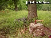 [P47] dar voi reveni... » foto by dorgo
 - 
<span class="allrVoted glyphicon glyphicon-heart hidden" id="av93768"></span>
<a class="m-l-10 hidden" id="sv93768" onclick="voting_Foto_DelVot(,93768,20973)" role="button">șterge vot <span class="glyphicon glyphicon-remove"></span></a>
<a id="v993768" class=" c-red"  onclick="voting_Foto_SetVot(93768)" role="button"><span class="glyphicon glyphicon-heart-empty"></span> <b>LIKE</b> = Votează poza</a> <img class="hidden"  id="f93768W9" src="/imagini/loader.gif" border="0" /><span class="AjErrMes hidden" id="e93768ErM"></span>