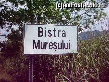 [P48] la Bistra » foto by dorgo
 - 
<span class="allrVoted glyphicon glyphicon-heart hidden" id="av93769"></span>
<a class="m-l-10 hidden" id="sv93769" onclick="voting_Foto_DelVot(,93769,20973)" role="button">șterge vot <span class="glyphicon glyphicon-remove"></span></a>
<a id="v993769" class=" c-red"  onclick="voting_Foto_SetVot(93769)" role="button"><span class="glyphicon glyphicon-heart-empty"></span> <b>LIKE</b> = Votează poza</a> <img class="hidden"  id="f93769W9" src="/imagini/loader.gif" border="0" /><span class="AjErrMes hidden" id="e93769ErM"></span>