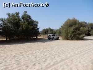 [P15] Peisaj din Doñana, cu nelipsitele dune » foto by alinaro
 - 
<span class="allrVoted glyphicon glyphicon-heart hidden" id="av796253"></span>
<a class="m-l-10 hidden" id="sv796253" onclick="voting_Foto_DelVot(,796253,21055)" role="button">șterge vot <span class="glyphicon glyphicon-remove"></span></a>
<a id="v9796253" class=" c-red"  onclick="voting_Foto_SetVot(796253)" role="button"><span class="glyphicon glyphicon-heart-empty"></span> <b>LIKE</b> = Votează poza</a> <img class="hidden"  id="f796253W9" src="/imagini/loader.gif" border="0" /><span class="AjErrMes hidden" id="e796253ErM"></span>