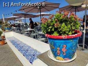 [P78] La pas prin Insula Stromboli » foto by crismis
 - 
<span class="allrVoted glyphicon glyphicon-heart hidden" id="av1498807"></span>
<a class="m-l-10 hidden" id="sv1498807" onclick="voting_Foto_DelVot(,1498807,21065)" role="button">șterge vot <span class="glyphicon glyphicon-remove"></span></a>
<a id="v91498807" class=" c-red"  onclick="voting_Foto_SetVot(1498807)" role="button"><span class="glyphicon glyphicon-heart-empty"></span> <b>LIKE</b> = Votează poza</a> <img class="hidden"  id="f1498807W9" src="/imagini/loader.gif" border="0" /><span class="AjErrMes hidden" id="e1498807ErM"></span>