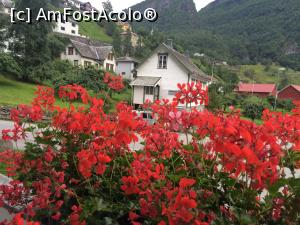 [P06] Stațiunea Geiranger. Micuță și foarte frumoasă.  » foto by Aurici
 - 
<span class="allrVoted glyphicon glyphicon-heart hidden" id="av795341"></span>
<a class="m-l-10 hidden" id="sv795341" onclick="voting_Foto_DelVot(,795341,21105)" role="button">șterge vot <span class="glyphicon glyphicon-remove"></span></a>
<a id="v9795341" class=" c-red"  onclick="voting_Foto_SetVot(795341)" role="button"><span class="glyphicon glyphicon-heart-empty"></span> <b>LIKE</b> = Votează poza</a> <img class="hidden"  id="f795341W9" src="/imagini/loader.gif" border="0" /><span class="AjErrMes hidden" id="e795341ErM"></span>