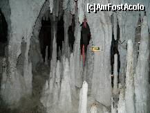 [P24] Stalactite si stalagmite artificiale din grota regelui visator Ludwig al 2-lea » foto by ileanaxperta*
 - 
<span class="allrVoted glyphicon glyphicon-heart hidden" id="av260293"></span>
<a class="m-l-10 hidden" id="sv260293" onclick="voting_Foto_DelVot(,260293,21263)" role="button">șterge vot <span class="glyphicon glyphicon-remove"></span></a>
<a id="v9260293" class=" c-red"  onclick="voting_Foto_SetVot(260293)" role="button"><span class="glyphicon glyphicon-heart-empty"></span> <b>LIKE</b> = Votează poza</a> <img class="hidden"  id="f260293W9" src="/imagini/loader.gif" border="0" /><span class="AjErrMes hidden" id="e260293ErM"></span>