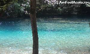 [P14] În umbra deasă de la marginea râului Voidomatis, regiunea Epir, Grecia.  » foto by traian.leuca †
 - 
<span class="allrVoted glyphicon glyphicon-heart hidden" id="av574434"></span>
<a class="m-l-10 hidden" id="sv574434" onclick="voting_Foto_DelVot(,574434,21484)" role="button">șterge vot <span class="glyphicon glyphicon-remove"></span></a>
<a id="v9574434" class=" c-red"  onclick="voting_Foto_SetVot(574434)" role="button"><span class="glyphicon glyphicon-heart-empty"></span> <b>LIKE</b> = Votează poza</a> <img class="hidden"  id="f574434W9" src="/imagini/loader.gif" border="0" /><span class="AjErrMes hidden" id="e574434ErM"></span>