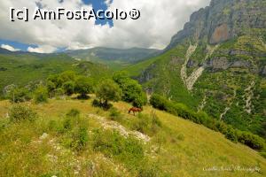 [P107] La poalele Muntelui Tymfi.  » foto by Vlahos2003
 - 
<span class="allrVoted glyphicon glyphicon-heart hidden" id="av713683"></span>
<a class="m-l-10 hidden" id="sv713683" onclick="voting_Foto_DelVot(,713683,21484)" role="button">șterge vot <span class="glyphicon glyphicon-remove"></span></a>
<a id="v9713683" class=" c-red"  onclick="voting_Foto_SetVot(713683)" role="button"><span class="glyphicon glyphicon-heart-empty"></span> <b>LIKE</b> = Votează poza</a> <img class="hidden"  id="f713683W9" src="/imagini/loader.gif" border="0" /><span class="AjErrMes hidden" id="e713683ErM"></span>