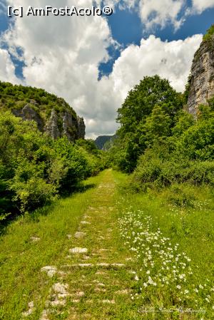 [P126] Cararea pietruita care va conduce la Misiou bridge.  » foto by Vlahos2003
 - 
<span class="allrVoted glyphicon glyphicon-heart hidden" id="av713712"></span>
<a class="m-l-10 hidden" id="sv713712" onclick="voting_Foto_DelVot(,713712,21484)" role="button">șterge vot <span class="glyphicon glyphicon-remove"></span></a>
<a id="v9713712" class=" c-red"  onclick="voting_Foto_SetVot(713712)" role="button"><span class="glyphicon glyphicon-heart-empty"></span> <b>LIKE</b> = Votează poza</a> <img class="hidden"  id="f713712W9" src="/imagini/loader.gif" border="0" /><span class="AjErrMes hidden" id="e713712ErM"></span>