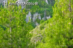 [P130] Undeva langa Vradeto.  » foto by Vlahos2003
 - 
<span class="allrVoted glyphicon glyphicon-heart hidden" id="av713718"></span>
<a class="m-l-10 hidden" id="sv713718" onclick="voting_Foto_DelVot(,713718,21484)" role="button">șterge vot <span class="glyphicon glyphicon-remove"></span></a>
<a id="v9713718" class=" c-red"  onclick="voting_Foto_SetVot(713718)" role="button"><span class="glyphicon glyphicon-heart-empty"></span> <b>LIKE</b> = Votează poza</a> <img class="hidden"  id="f713718W9" src="/imagini/loader.gif" border="0" /><span class="AjErrMes hidden" id="e713718ErM"></span>