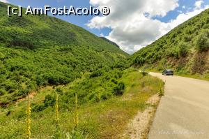 [P139] Ma scuzati dar alta masina nu am avut la dispozitie sa fotografiez si ca fotograf... nu imi permit alta!  » foto by Vlahos2003
 - 
<span class="allrVoted glyphicon glyphicon-heart hidden" id="av713734"></span>
<a class="m-l-10 hidden" id="sv713734" onclick="voting_Foto_DelVot(,713734,21484)" role="button">șterge vot <span class="glyphicon glyphicon-remove"></span></a>
<a id="v9713734" class=" c-red"  onclick="voting_Foto_SetVot(713734)" role="button"><span class="glyphicon glyphicon-heart-empty"></span> <b>LIKE</b> = Votează poza</a> <img class="hidden"  id="f713734W9" src="/imagini/loader.gif" border="0" /><span class="AjErrMes hidden" id="e713734ErM"></span>