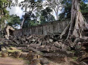 [P39] Ta Phrom » foto by geop
 - 
<span class="allrVoted glyphicon glyphicon-heart hidden" id="av1052474"></span>
<a class="m-l-10 hidden" id="sv1052474" onclick="voting_Foto_DelVot(,1052474,21517)" role="button">șterge vot <span class="glyphicon glyphicon-remove"></span></a>
<a id="v91052474" class=" c-red"  onclick="voting_Foto_SetVot(1052474)" role="button"><span class="glyphicon glyphicon-heart-empty"></span> <b>LIKE</b> = Votează poza</a> <img class="hidden"  id="f1052474W9" src="/imagini/loader.gif" border="0" /><span class="AjErrMes hidden" id="e1052474ErM"></span>