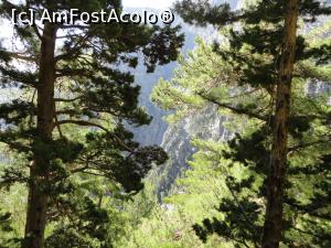 [P17] Între doi copaci...  » foto by maryka
 - 
<span class="allrVoted glyphicon glyphicon-heart hidden" id="av749727"></span>
<a class="m-l-10 hidden" id="sv749727" onclick="voting_Foto_DelVot(,749727,21551)" role="button">șterge vot <span class="glyphicon glyphicon-remove"></span></a>
<a id="v9749727" class=" c-red"  onclick="voting_Foto_SetVot(749727)" role="button"><span class="glyphicon glyphicon-heart-empty"></span> <b>LIKE</b> = Votează poza</a> <img class="hidden"  id="f749727W9" src="/imagini/loader.gif" border="0" /><span class="AjErrMes hidden" id="e749727ErM"></span>