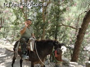 [P23] Vine... „ambulanța” » foto by maryka
 - 
<span class="allrVoted glyphicon glyphicon-heart hidden" id="av749739"></span>
<a class="m-l-10 hidden" id="sv749739" onclick="voting_Foto_DelVot(,749739,21551)" role="button">șterge vot <span class="glyphicon glyphicon-remove"></span></a>
<a id="v9749739" class=" c-red"  onclick="voting_Foto_SetVot(749739)" role="button"><span class="glyphicon glyphicon-heart-empty"></span> <b>LIKE</b> = Votează poza</a> <img class="hidden"  id="f749739W9" src="/imagini/loader.gif" border="0" /><span class="AjErrMes hidden" id="e749739ErM"></span>