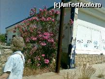 [P01] Cladire dezafectata din fosta unitate militara americana » foto by corinne
 - 
<span class="allrVoted glyphicon glyphicon-heart hidden" id="av49620"></span>
<a class="m-l-10 hidden" id="sv49620" onclick="voting_Foto_DelVot(,49620,21556)" role="button">șterge vot <span class="glyphicon glyphicon-remove"></span></a>
<a id="v949620" class=" c-red"  onclick="voting_Foto_SetVot(49620)" role="button"><span class="glyphicon glyphicon-heart-empty"></span> <b>LIKE</b> = Votează poza</a> <img class="hidden"  id="f49620W9" src="/imagini/loader.gif" border="0" /><span class="AjErrMes hidden" id="e49620ErM"></span>