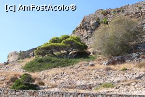 [P40] Creta, Insula Spinalonga, Sus se vede Semibastionul Moceniga/Barbariga » foto by mprofeanu
 - 
<span class="allrVoted glyphicon glyphicon-heart hidden" id="av1278877"></span>
<a class="m-l-10 hidden" id="sv1278877" onclick="voting_Foto_DelVot(,1278877,21562)" role="button">șterge vot <span class="glyphicon glyphicon-remove"></span></a>
<a id="v91278877" class=" c-red"  onclick="voting_Foto_SetVot(1278877)" role="button"><span class="glyphicon glyphicon-heart-empty"></span> <b>LIKE</b> = Votează poza</a> <img class="hidden"  id="f1278877W9" src="/imagini/loader.gif" border="0" /><span class="AjErrMes hidden" id="e1278877ErM"></span>