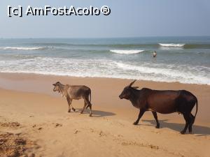 [P25]  -- <small>// FĂRĂ DESCRIERE</small> » foto by robert
 - 
<span class="allrVoted glyphicon glyphicon-heart hidden" id="av835821"></span>
<a class="m-l-10 hidden" id="sv835821" onclick="voting_Foto_DelVot(,835821,21572)" role="button">șterge vot <span class="glyphicon glyphicon-remove"></span></a>
<a id="v9835821" class=" c-red"  onclick="voting_Foto_SetVot(835821)" role="button"><span class="glyphicon glyphicon-heart-empty"></span> <b>LIKE</b> = Votează poza</a> <img class="hidden"  id="f835821W9" src="/imagini/loader.gif" border="0" /><span class="AjErrMes hidden" id="e835821ErM"></span>