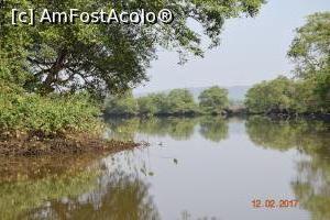 [P10] locurile pe unde-si fac veacul crocodilii » foto by robert
 - 
<span class="allrVoted glyphicon glyphicon-heart hidden" id="av837487"></span>
<a class="m-l-10 hidden" id="sv837487" onclick="voting_Foto_DelVot(,837487,21572)" role="button">șterge vot <span class="glyphicon glyphicon-remove"></span></a>
<a id="v9837487" class=" c-red"  onclick="voting_Foto_SetVot(837487)" role="button"><span class="glyphicon glyphicon-heart-empty"></span> <b>LIKE</b> = Votează poza</a> <img class="hidden"  id="f837487W9" src="/imagini/loader.gif" border="0" /><span class="AjErrMes hidden" id="e837487ErM"></span>