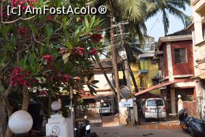 [P13] prin orașul Calangute » foto by robert
 - 
<span class="allrVoted glyphicon glyphicon-heart hidden" id="av839191"></span>
<a class="m-l-10 hidden" id="sv839191" onclick="voting_Foto_DelVot(,839191,21572)" role="button">șterge vot <span class="glyphicon glyphicon-remove"></span></a>
<a id="v9839191" class=" c-red"  onclick="voting_Foto_SetVot(839191)" role="button"><span class="glyphicon glyphicon-heart-empty"></span> <b>LIKE</b> = Votează poza</a> <img class="hidden"  id="f839191W9" src="/imagini/loader.gif" border="0" /><span class="AjErrMes hidden" id="e839191ErM"></span>